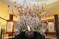 Chinese New Year Starts at Malls Chinese New Year Starts at Malls