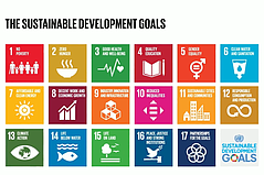 ‘Discover the SDGs’ Virtual Event to Support Decade of Action