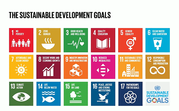 The United Nations Sustainable Development Goals
Image: Discover the SDGs