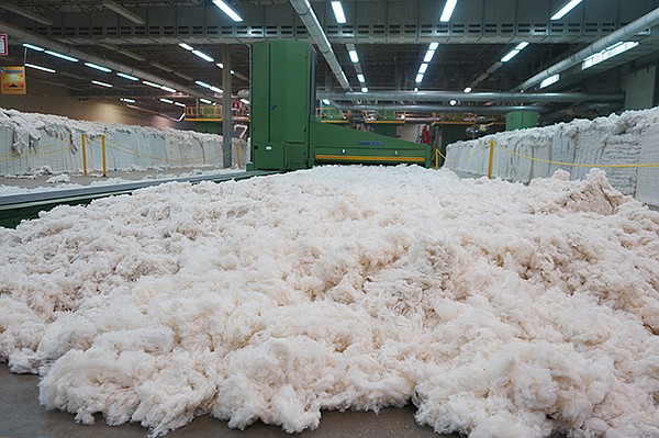 Cone Denim is extending its partnership with Oritain to afford fabric transparency at every stage including cotton processing as shown at the company’s Parras, Mexico, facility. | Photo courtesy of Cone Denim