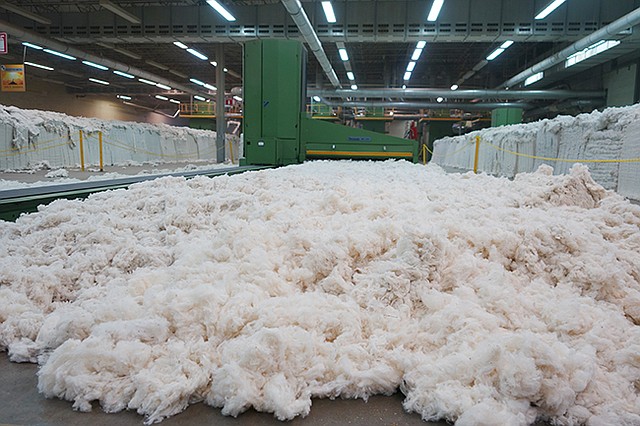 Cone Denim is extending its partnership with Oritain to afford fabric transparency at every stage including cotton processing as shown at the company’s Parras, Mexico, facility. | Photo courtesy of Cone Denim
