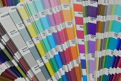 Color of the Future Color of the Future