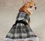 Put a Little Woof in that Dress