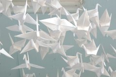 It’s an Origami Bird – Over The Bloc!