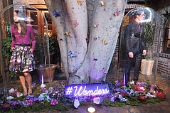 Ted Baker Gets Curious