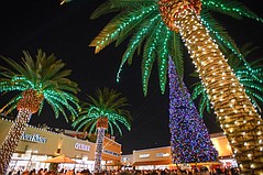 Xmas Tree Lighting at Citadel – Nov. 7