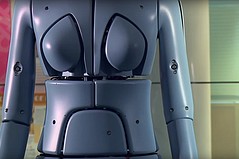 Robot Meets Mannequin