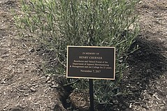 Cherner Memorialized with Tree Planting