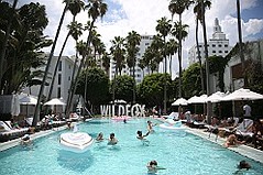 Wildfox Carves Out Its Own Space at Miami Swim Week