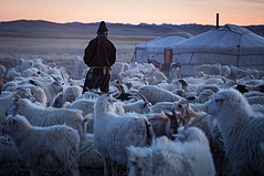 Mongolia Third Neighbor Trade Act Could Diversify Cashmere Sourcing for U.S. Mongolia Third Neighbor Trade Act Could Diversify Cashmere Sourcing for U.S.