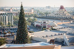 Holiday 2020 at Citadel Outlets to Start With Christmas-Tree Lighting Nov. 14