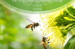 CFMB Criterion From Textile Exchange Outlines Environmental Impact CFMB Criterion From Textile Exchange Outlines Environmental Impact