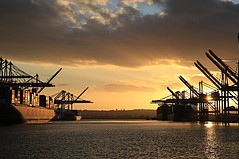 Port of Los Angeles, Oakland Report Record Cargo Surge