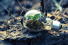 Identifying the Most-Trustworthy Certifications in Traceability Identifying the Most-Trustworthy Certifications in Traceability
