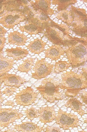 Photo detail