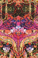 Avid Inc. #A139344 Summer Confusion