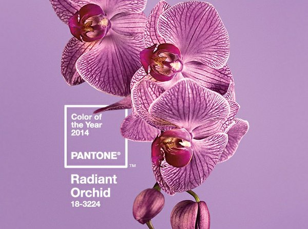 Pantone 's color of the year for 2014