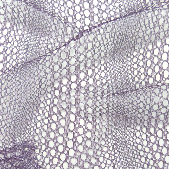 Photo detail