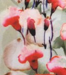 Textile Trends: Melon