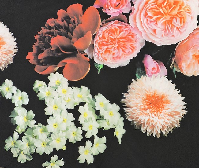 Photo detail