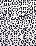 Cinergy Textiles Inc. #PM6566M-856 Ivory/Black