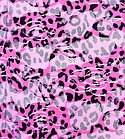 Cinergy Textiles Inc. #Lace-4921-277 Fuchsia/Black