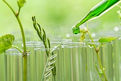 Devan Chemicals Adds to its Line of Bio-Based products