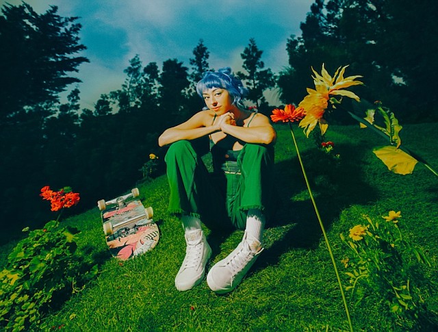 In partnership with Vans professional skateboarder Lizzie Armanto, Vans is releasing The Lizzie skate shoe, the first signature skateboarding shoe designed by a woman in 20 years. Image: Vans