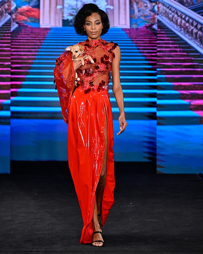 NEW YORK, NEW YORK - FEBRUARY 11: A model walks during the Anthony Rubio fashion show at New York Fashion Week Fall 2024 powered by Art Hearts Fashion at The Angel Orensanz Foundation on February 11, 2024 in New York City. (Photo by Arun Nevader/Getty Images for Art Hearts Fashion)