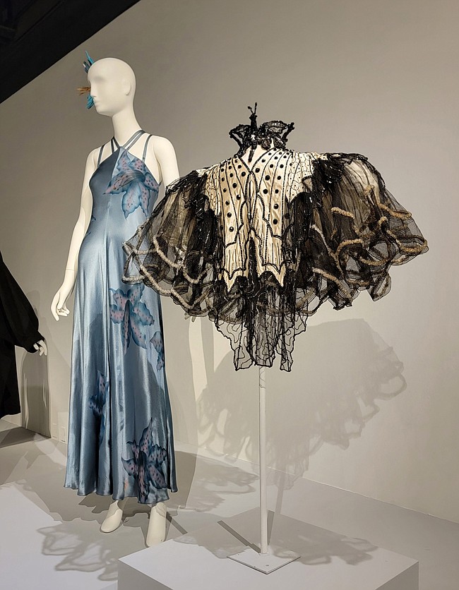 1896 evening cape, Paris | Photo courtesy of ASU FIDM Museum