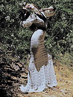 Photo detail